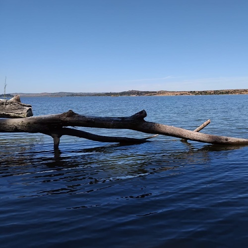 Caminatas junto a la orilla del Lago Rapel
